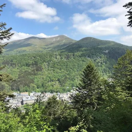 Mont-dore : Somptueux T2 Avec Wifi, Terrasse Et Parking - Fr-1-608-45 *