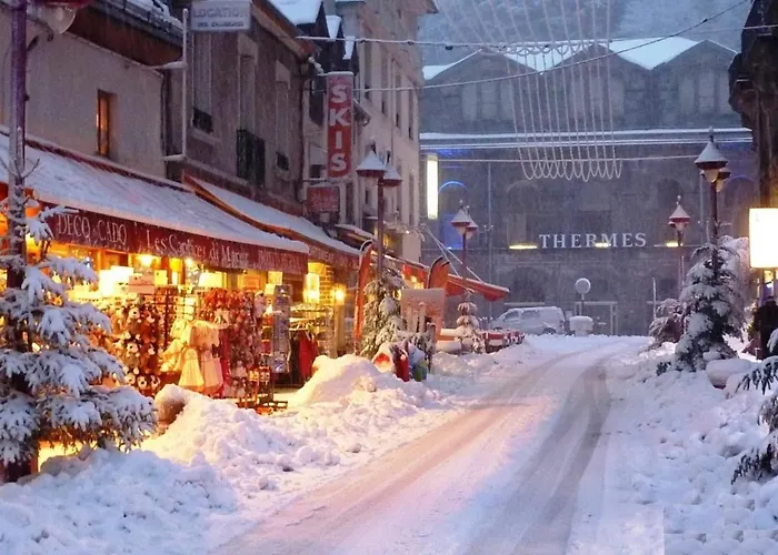 T2 Avec Wifi Et Parking Au Mont-dore - Fr-1-608-45 Apartment *