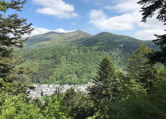 T2 Avec Wifi Et Parking Au Mont-dore - Fr-1-608-45 *